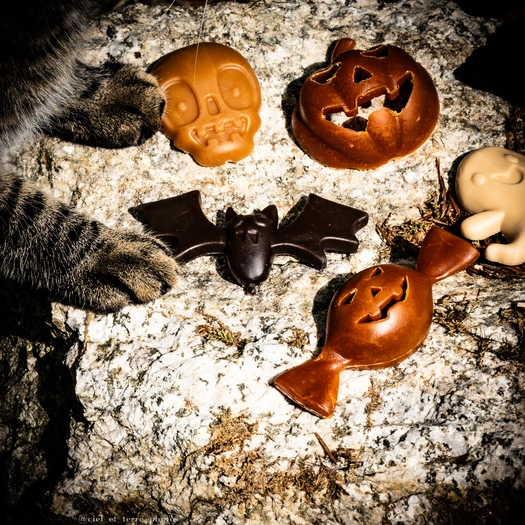 Mastication d'Halloween en Focolat Visuel 1 principal